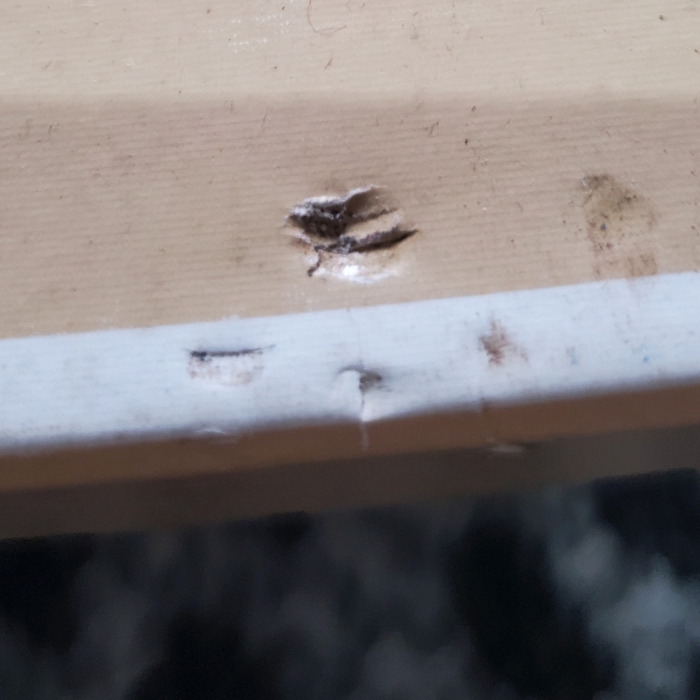 Micheal kors - Picture 9 of 10